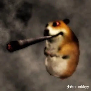 Meet your Posher, Cesar